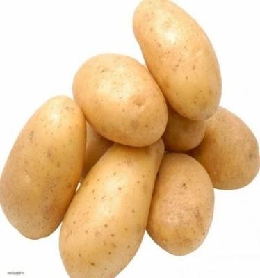 Chipsona Potato